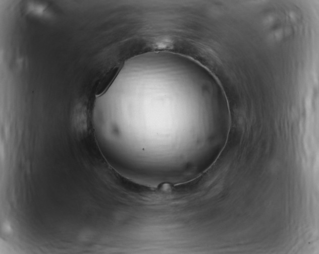 X0000088851442200706151708