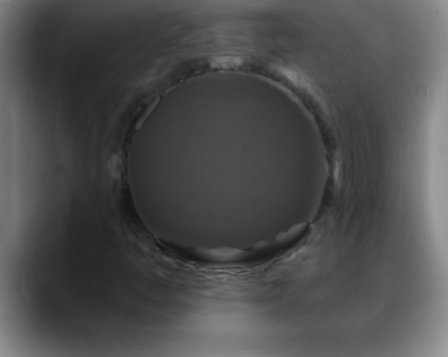 X0000088851445200706151708