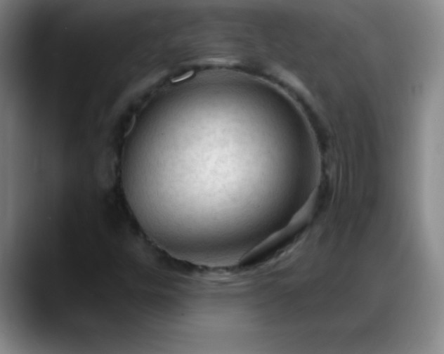 X0000088851448200706151708