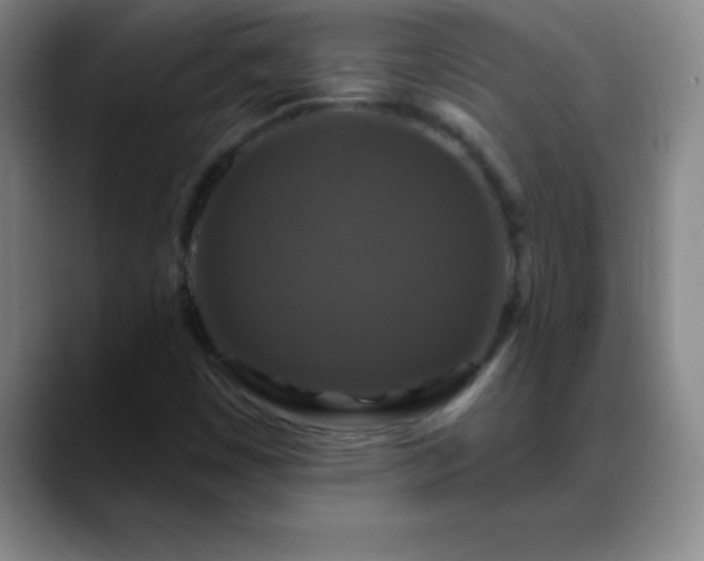 X0000088851449200706151708