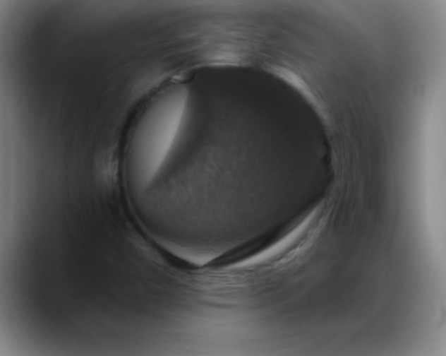 X0000088851450200706151708