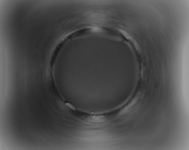 X0000088851453200706151708