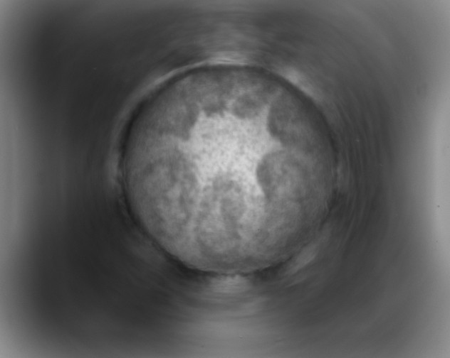 X0000088851454200706151708