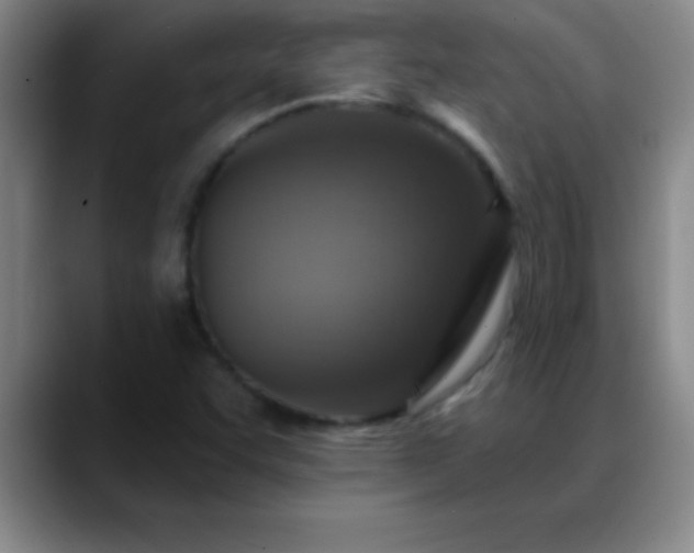 X0000088851455200706151708