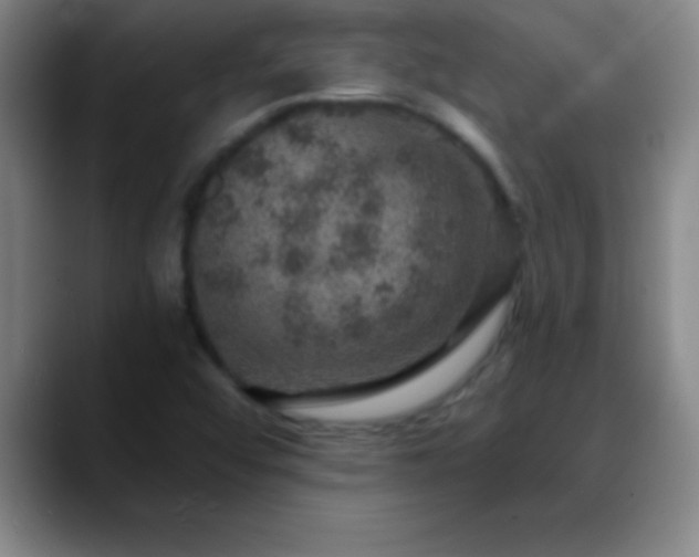 X0000088851456200706151708