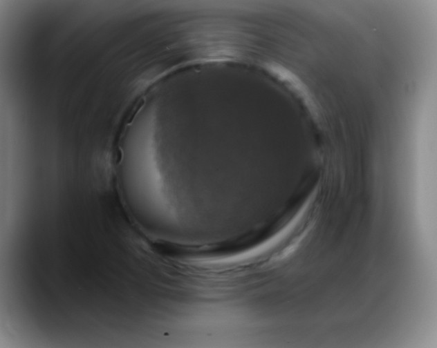 X0000088851457200706151708