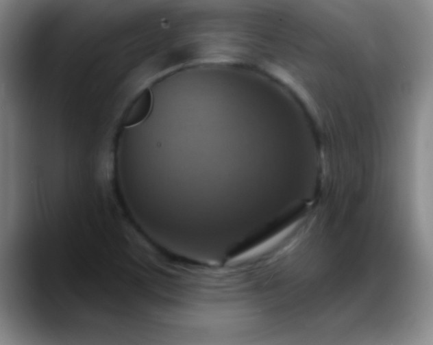 X0000088851459200706151708