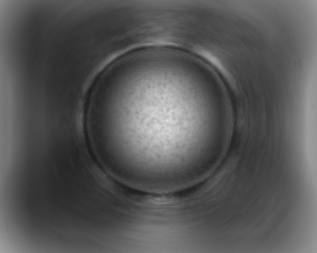X0000088851460200706151708