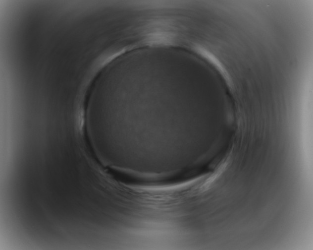 X0000088851461200706151708