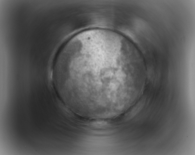 X0000088851462200706151708