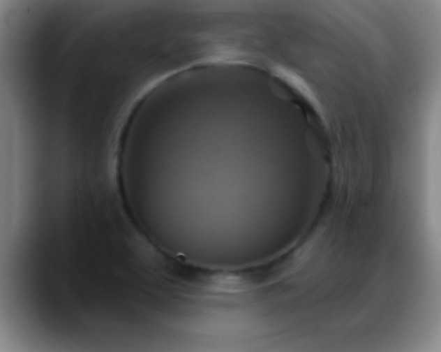 X0000088851463200706151708