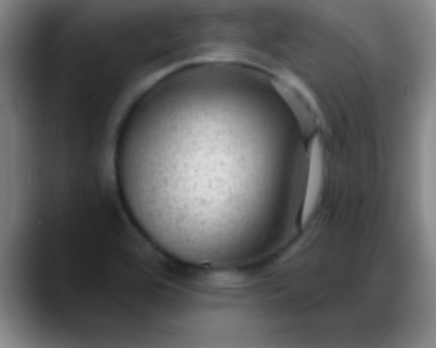 X0000088851464200706151708