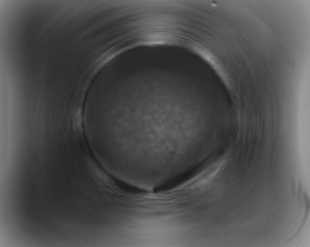 X0000088851465200706151708