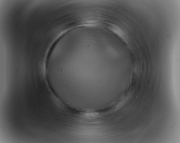 X0000088851466200706151708
