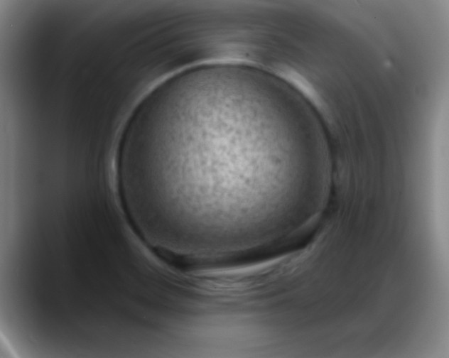 X0000088851468200706151708