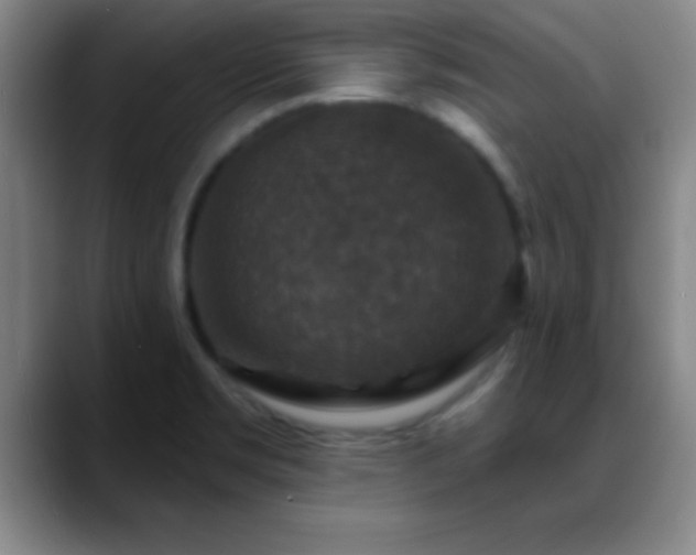 X0000088851469200706151708