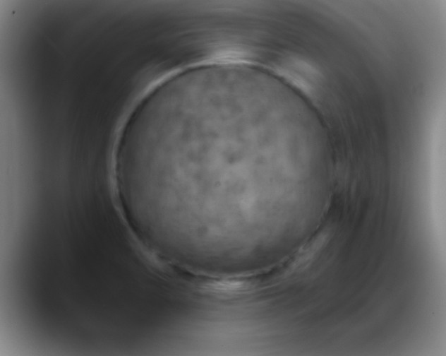 X0000088851470200706151708