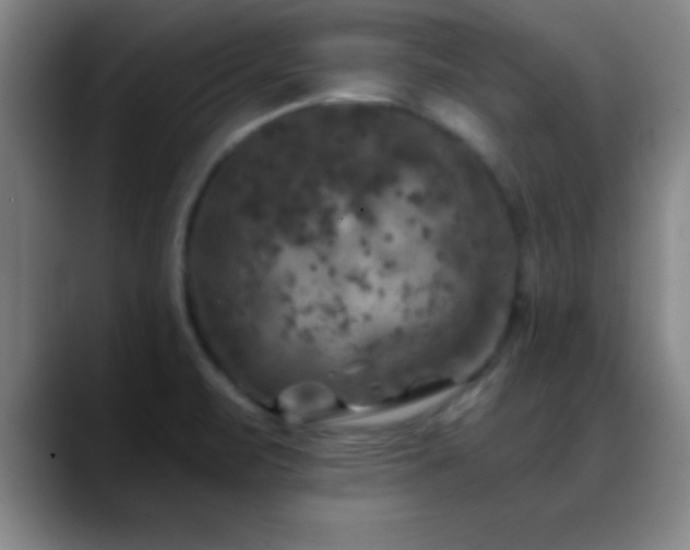 X0000088851471200706151708