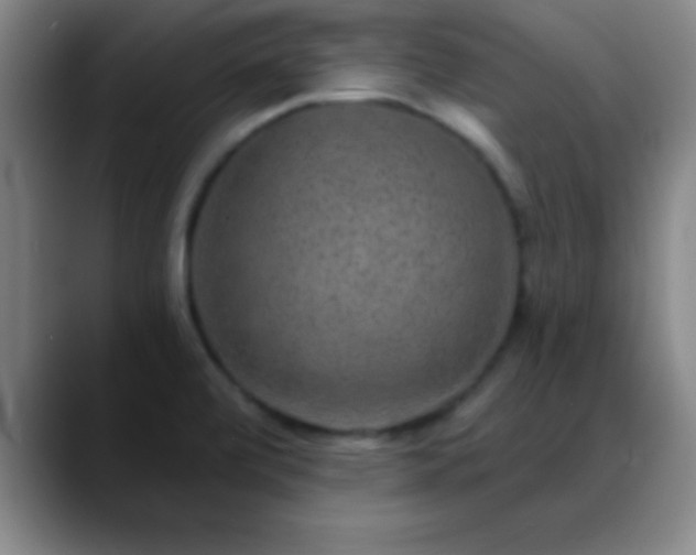 X0000088851472200706151708