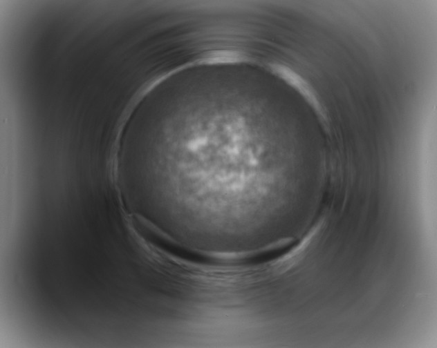 X0000088851473200706151708