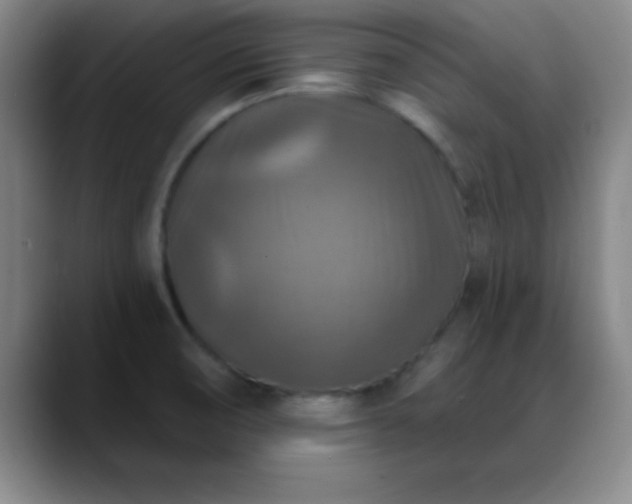 X0000088851474200706151708