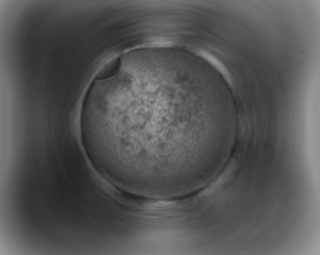 X0000088851475200706151708