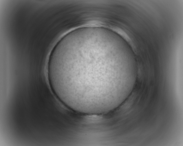X0000088851478200706151708
