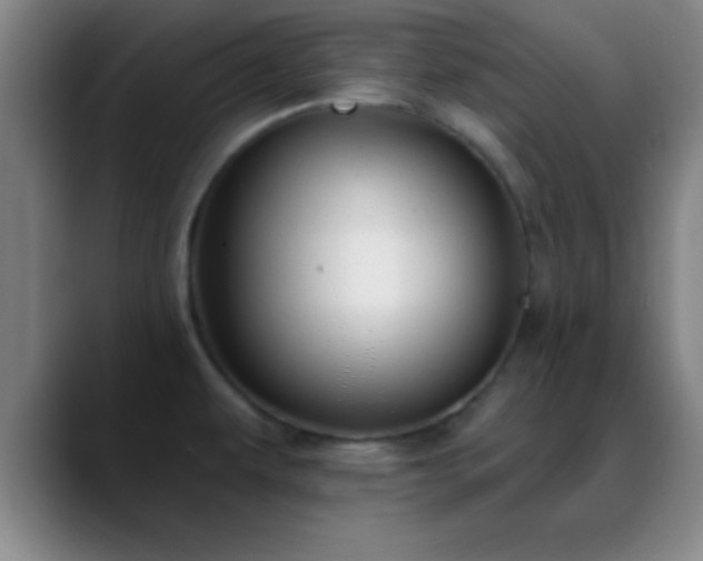 X0000088851479200706151708