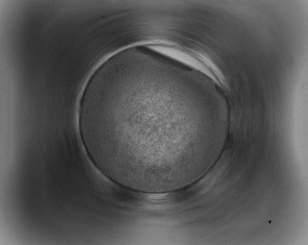 X0000088851484200706151708