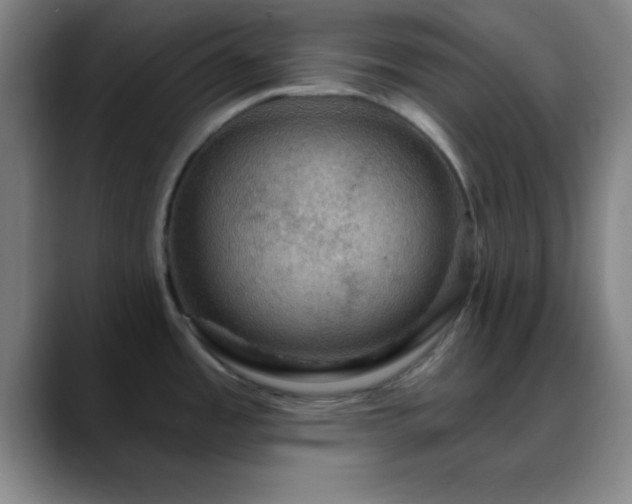 X0000088851485200706151708