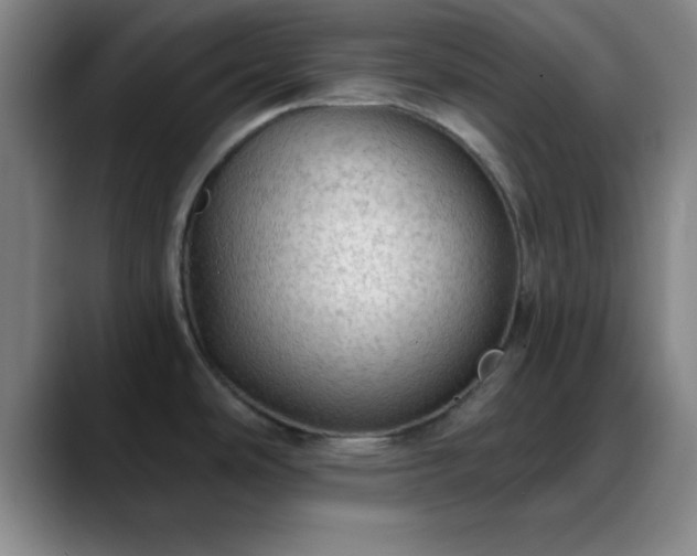 X0000088851486200706151708