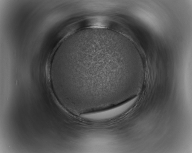 X0000088851487200706151708