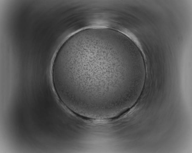 X0000088851488200706151708