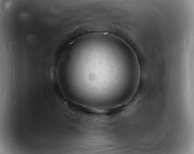 X0000088851490200706151707