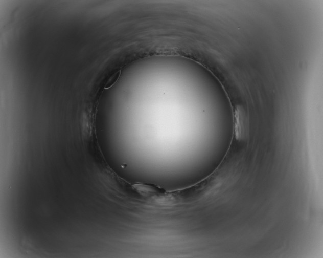 X0000088851491200706151707