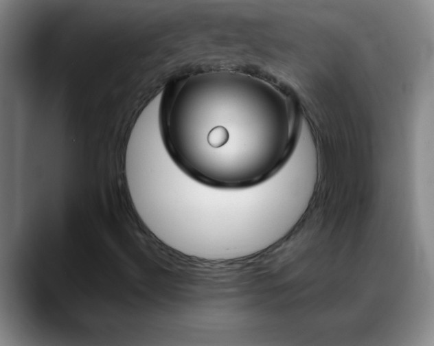 X0000088851492200706151707