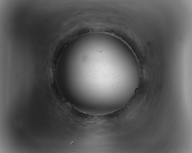 X0000088851493200706151707