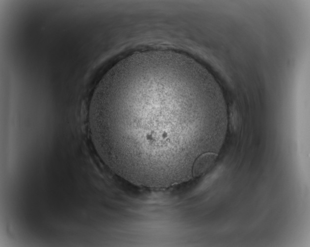 X0000088851494200706151707