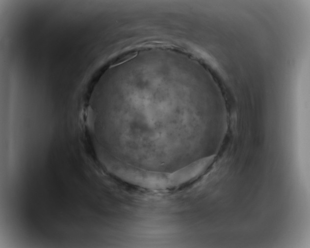 X0000088851496200706151707