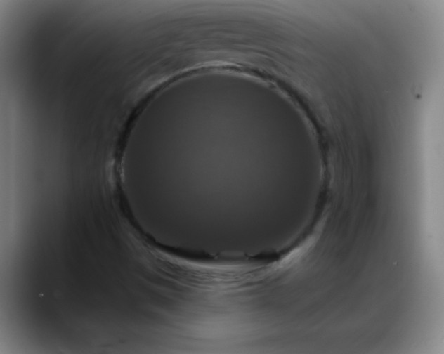 X0000088851497200706151707