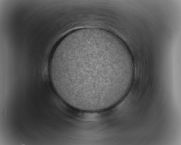 X0000088851498200706151707