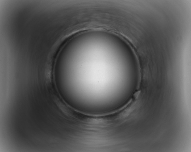 X0000088851499200706151707