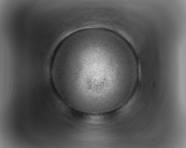 X0000088851501200706151708