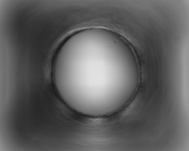 X0000088851502200706151708