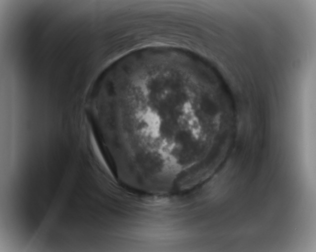 X0000088851505200706151708