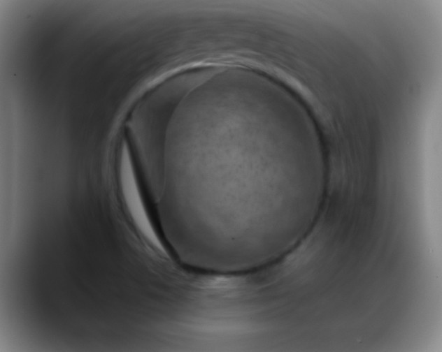 X0000088851506200706151708