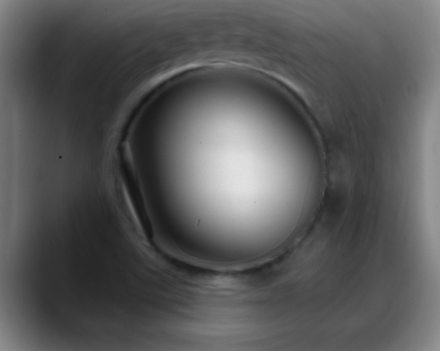 X0000088851507200706151708