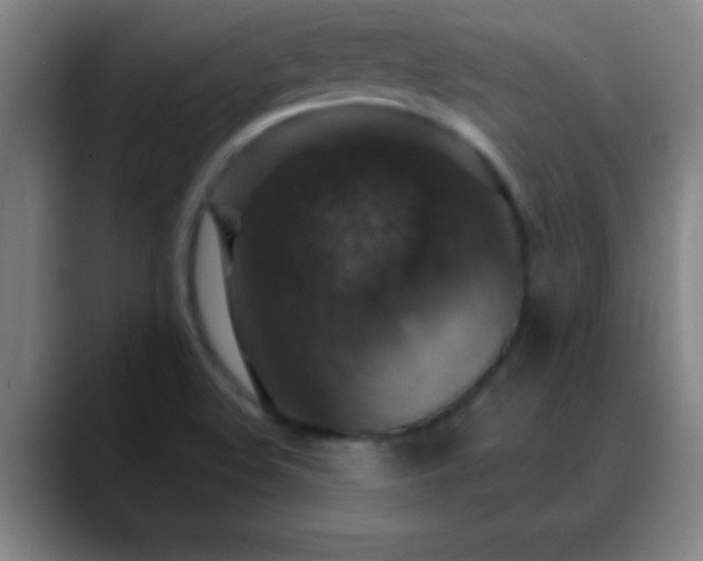 X0000088851508200706151708