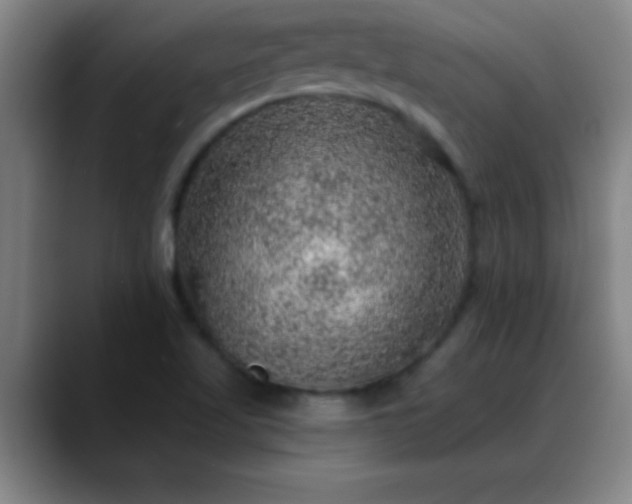 X0000088851509200706151708