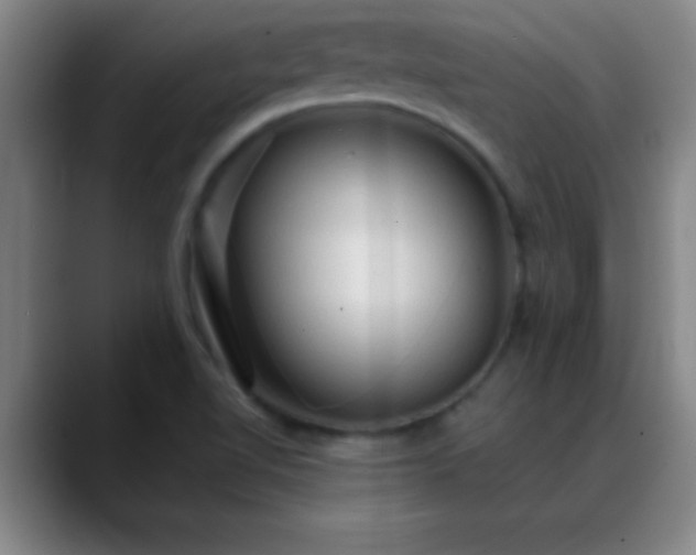 X0000088851510200706151708